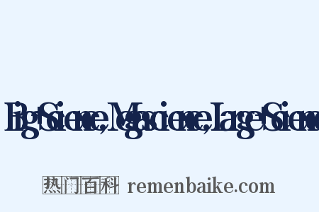 Big+Science,Megascience,Large+Science是什么意思的图片